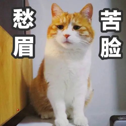 “我月交易流水5个亿，一月到手5000块”(图2)